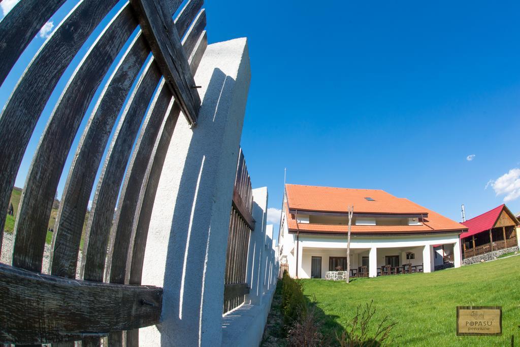 Guest house Pensiunea Popasu